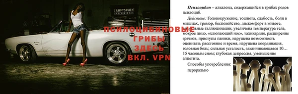 ALPHA-PVP Волоколамск