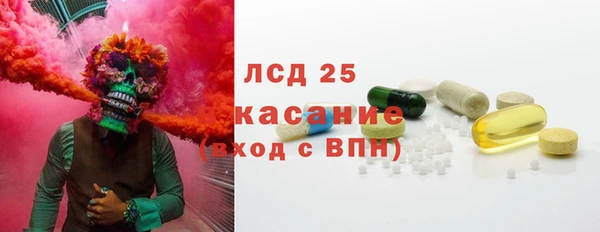 прущие грибы Волосово
