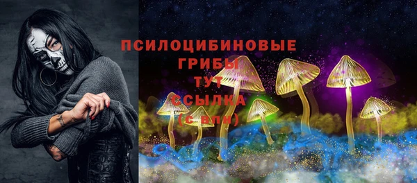 прущие грибы Волосово