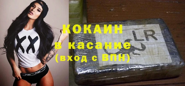 прущие грибы Волосово